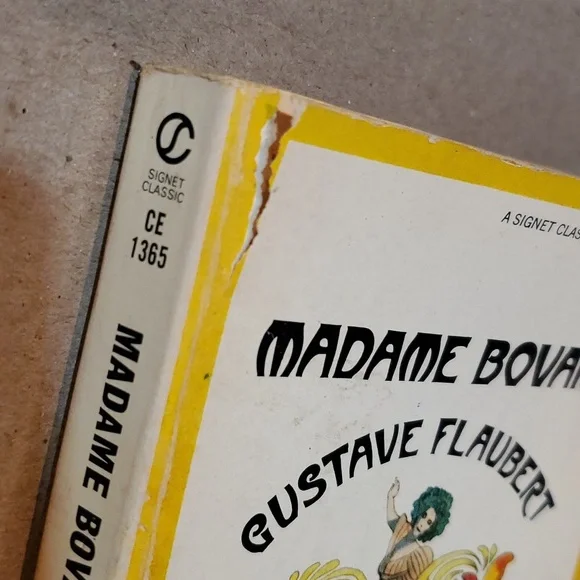 🇫🇷 Madame Bovary Gustave Flaubert paperback book - Picture 4 of 11